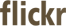Flickr Icon